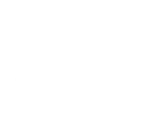 elite-cricket-logo-white
